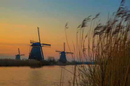 Netherlands man made windmill HD Desktop Wallpaper | Background Image