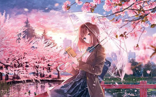 Anime Original Umbrella Cherry Blossom Sakura Spring HD Wallpaper | Background Image