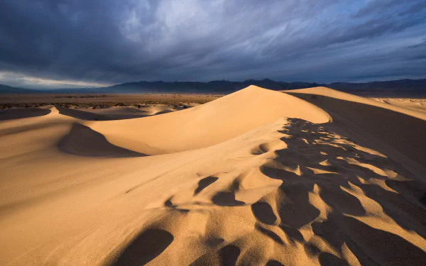 5K Ultra HD PC desktop wallpaper: Death Valley desert landscape in the USA, golden sand dunes and wind-sculpted ridges beneath a dramatic cloudy sky.