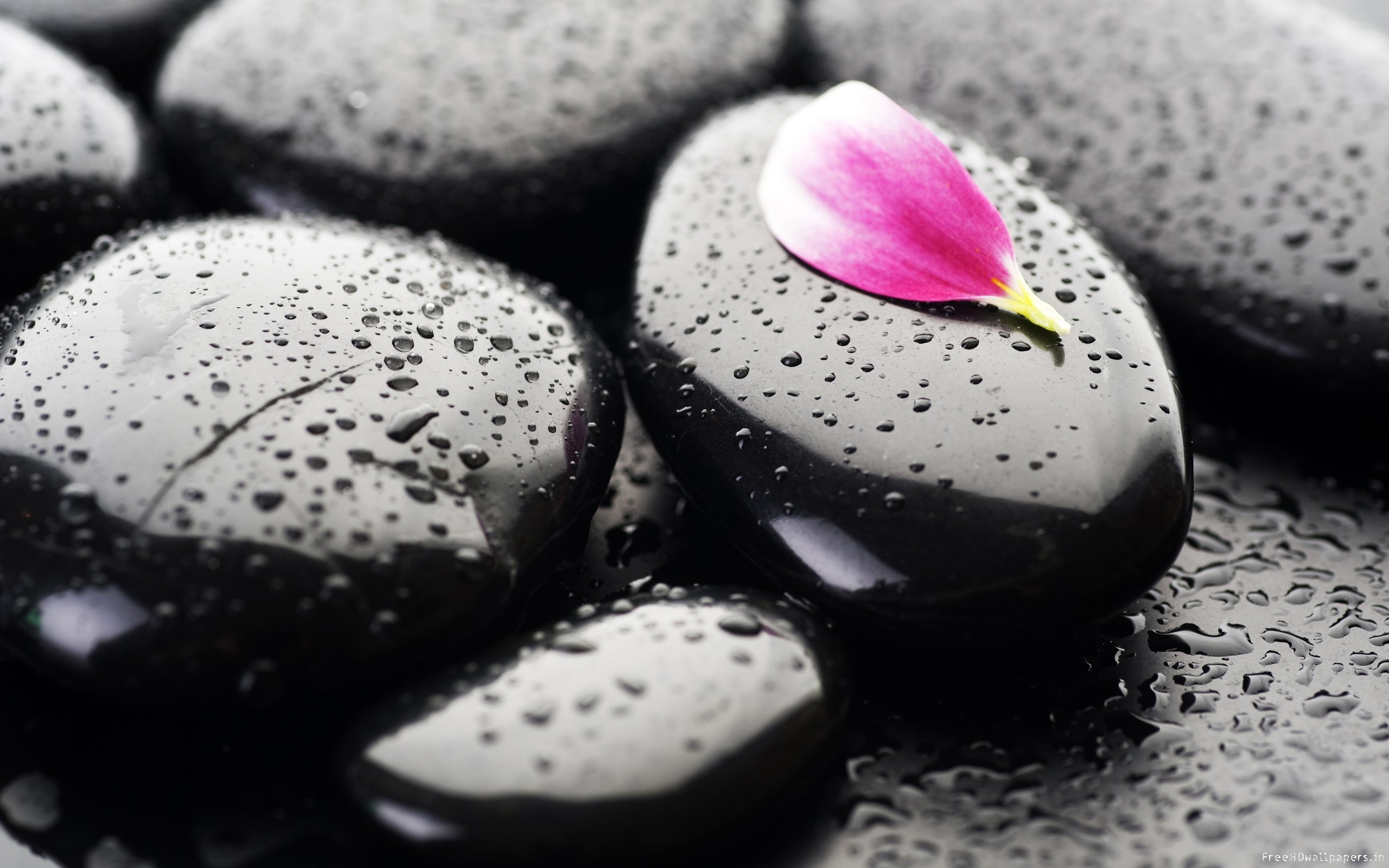 Religious Zen with petal and pebble elements.