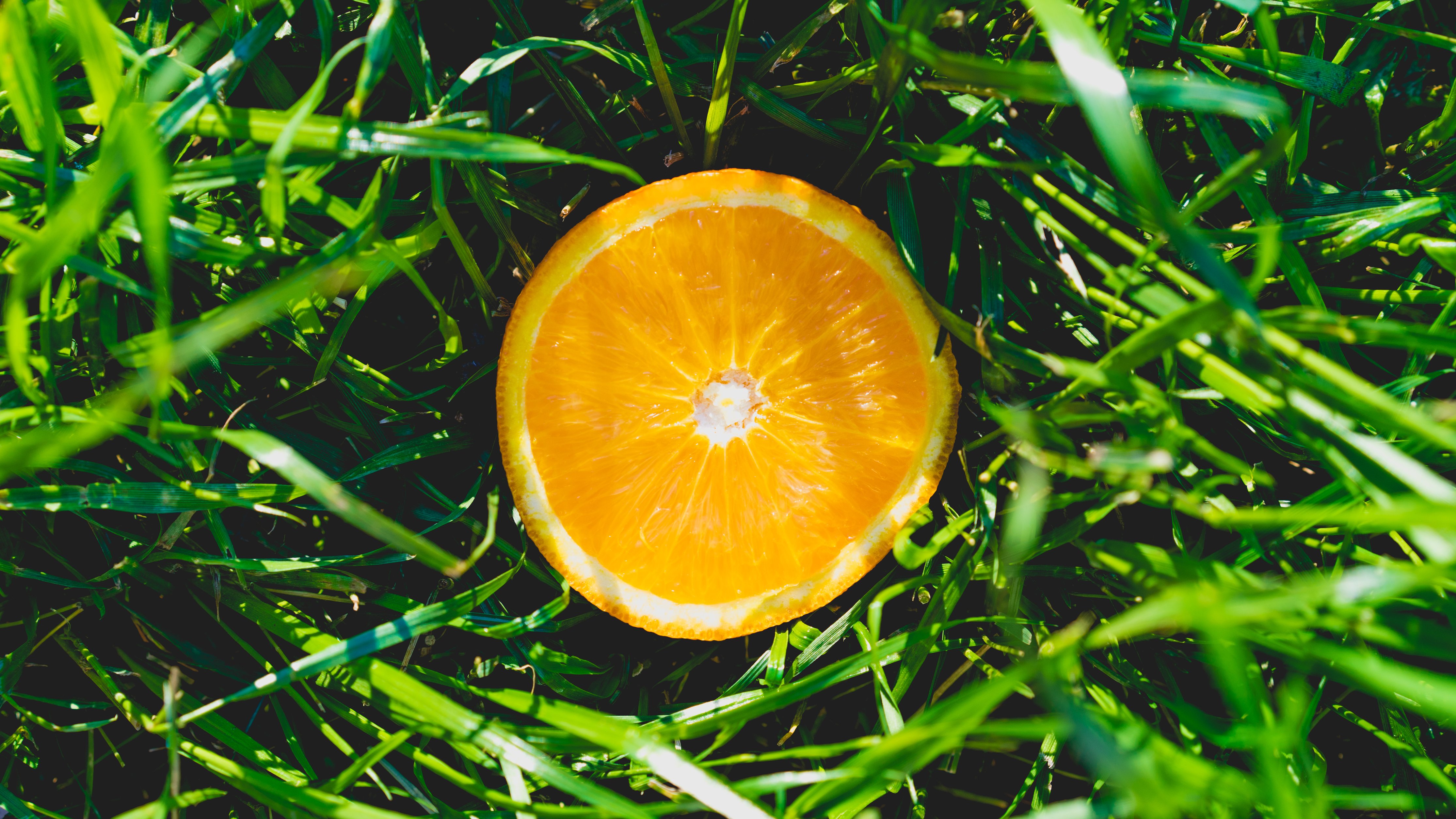 Orange In The Grass by Dan Gold