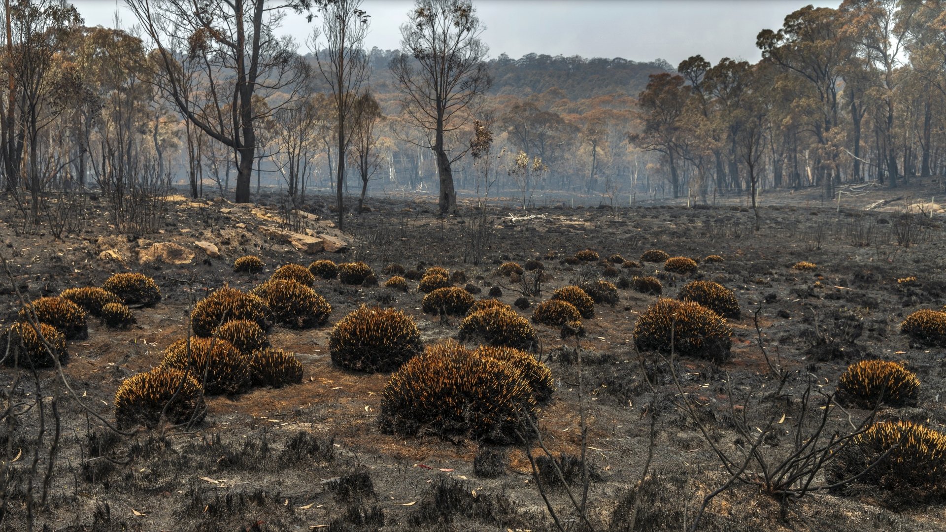 Download Nature Landscape 4k Ultra HD Wallpaper