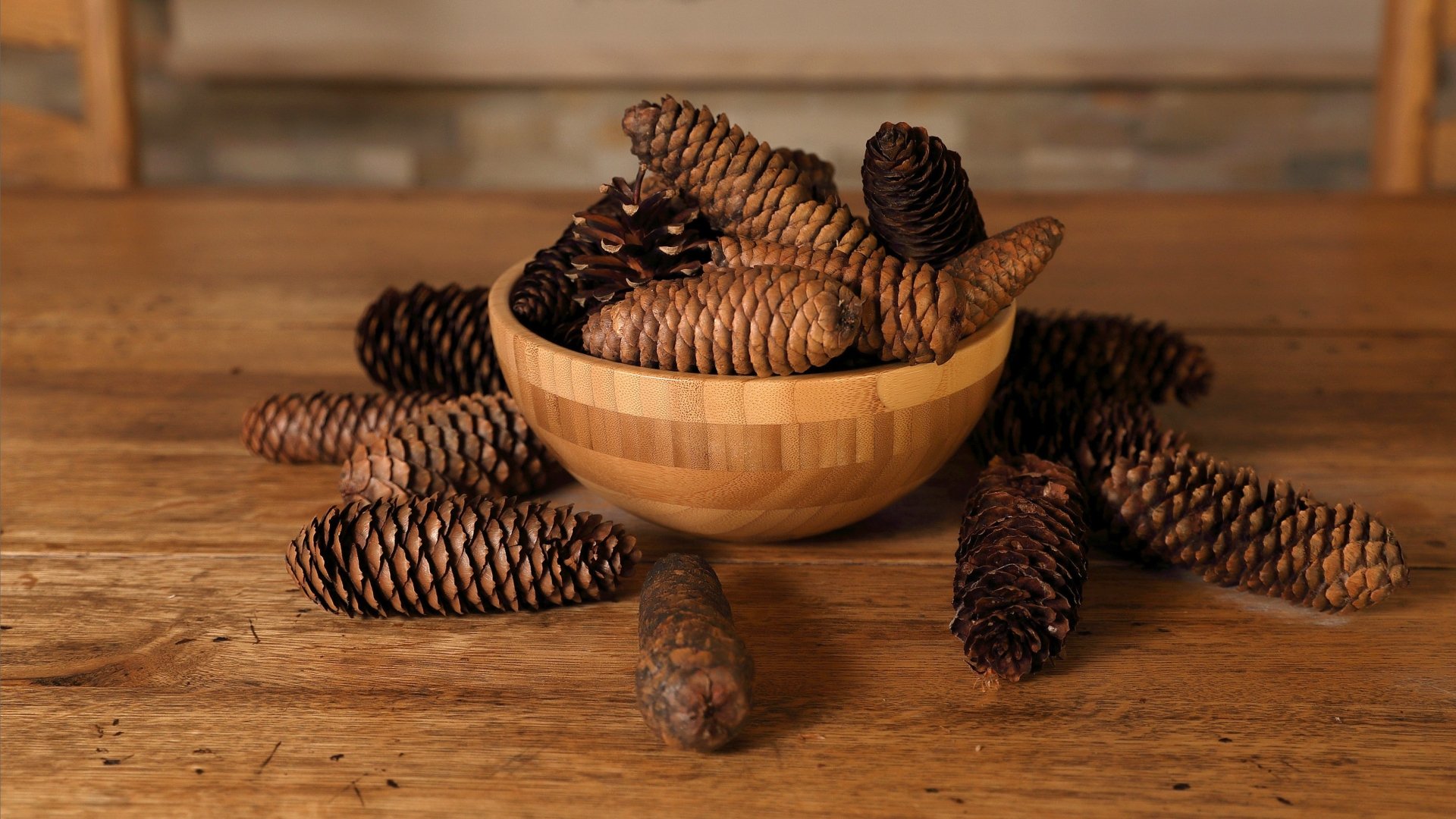 Download Pine Cone Photography Still Life HD Wallpaper