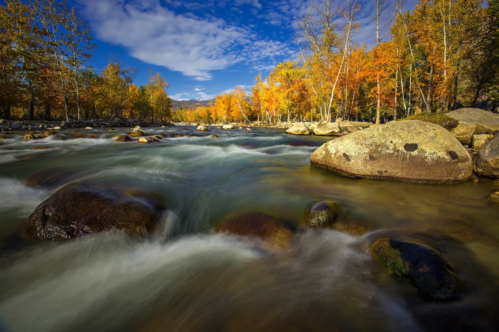 Golden River & Stone — Fall HD Wallpaper | 2048x1365 | Wallpaper Abyss