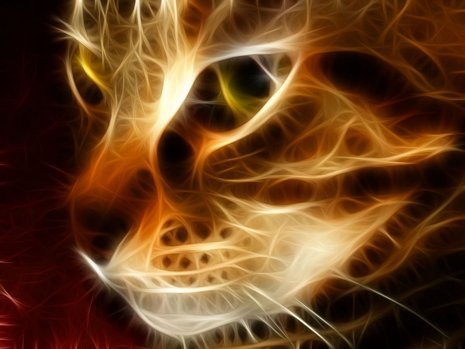 HD desktop wallpaper featuring a fractal art design of a kitten's face, highlighting intricate patterns and vibrant colors, creating a mesmerizing and artistic background.
