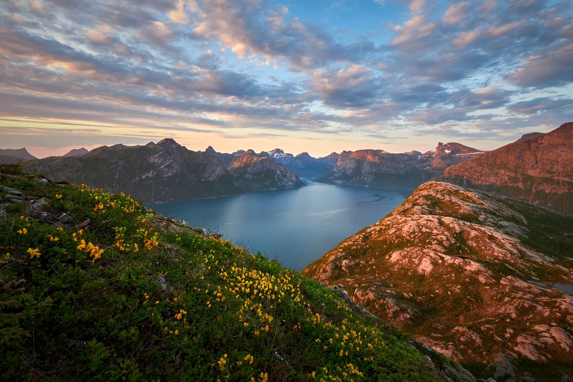 A stunning 4K Ultra HD view of Norway’s mountains and lake, with wildflowers in the foreground beneath a partly cloudy sky.