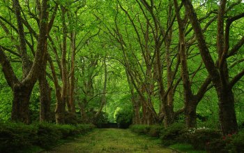 1 Soil HD Wallpapers | Background Images - Wallpaper Abyss