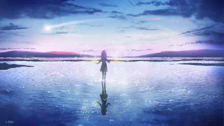 Anime-style HD desktop wallpaper depicting a lone figure standing in shallow water under a sky streaked with meteors and soft clouds.