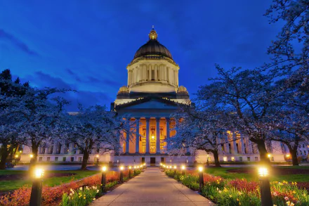 man made United States Capitol HD Desktop Wallpaper | Background Image