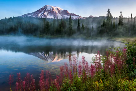 Mount Rainier rises above a foggy lake surrounded by dense forest and wildflowers in a serene national park landscape, captured in stunning 4K Ultra HD.