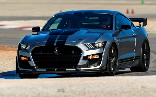  2019 Grey Shelby GT500 with black stripe