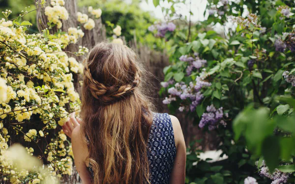 lilac woman rear HD Desktop Wallpaper | Background Image