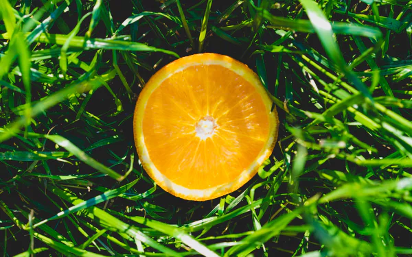  Orange In The Grass by Dan Gold