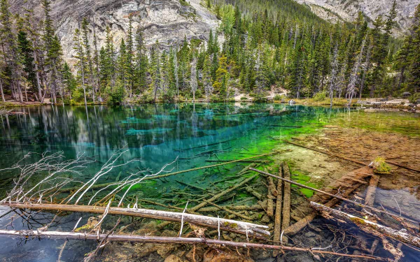 Alberta Canada nature lake HD Desktop Wallpaper | Background Image