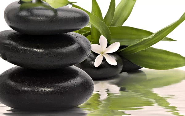 HD PC desktop wallpaper featuring smooth black stones stacked beside green leaves and a white flower, reflecting a serene, religious zen atmosphere.