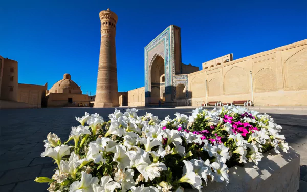  Minaret, Uzbekistan, Bukhara