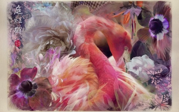 Artistic Collage Flamingo HD Wallpaper | Background Image