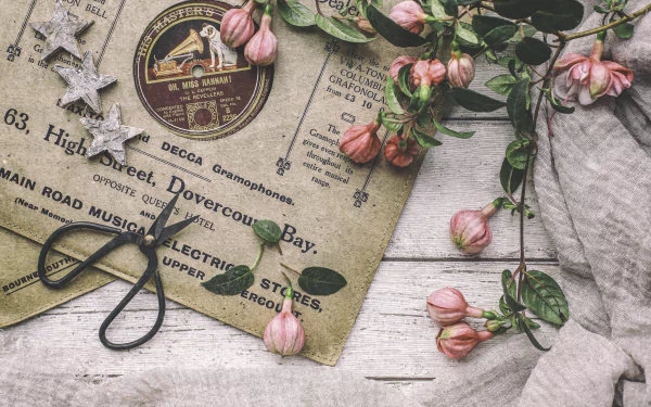 fuchsia scissors vinyl photography vintage HD Desktop Wallpaper | Background Image