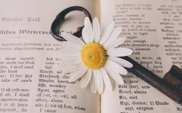 man made key HD Desktop Wallpaper | Background Image