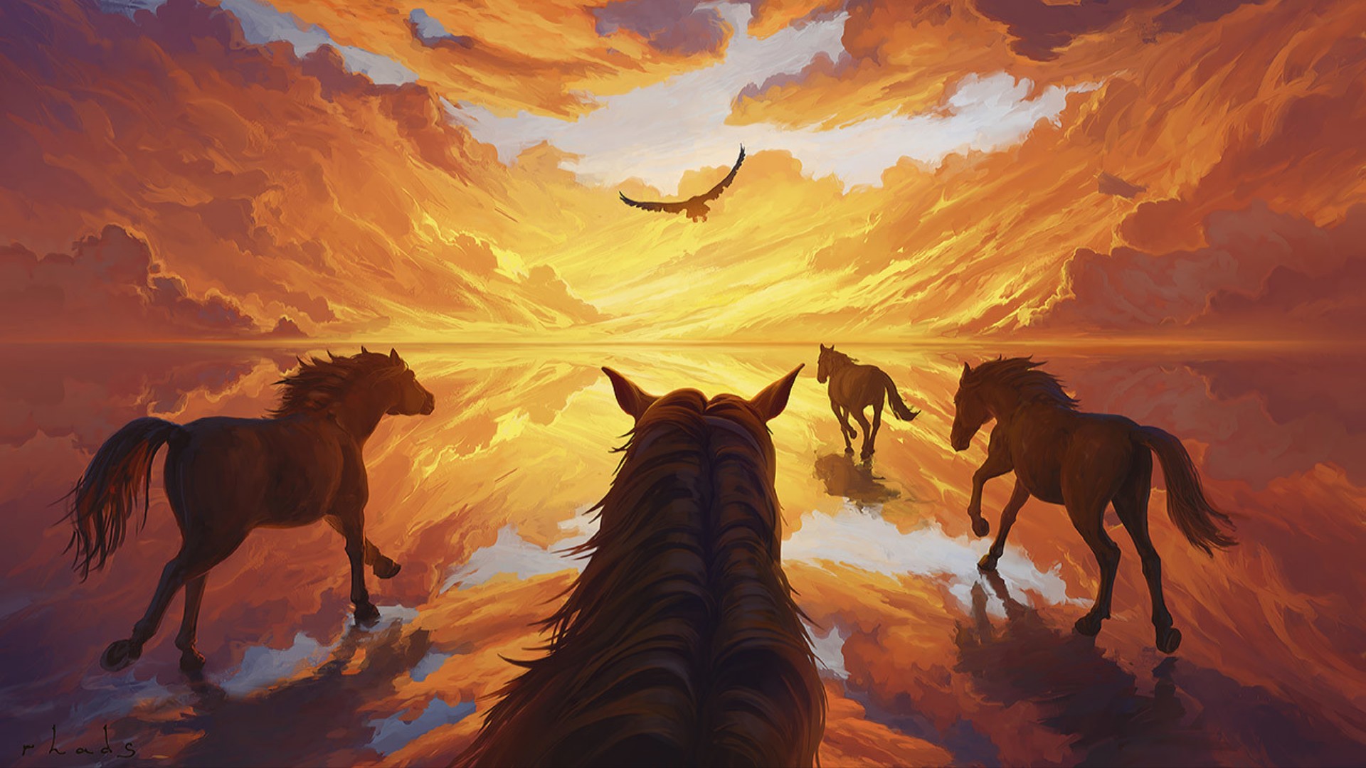 Download Sky Animal Horse HD Wallpaper by Artem Chebokha