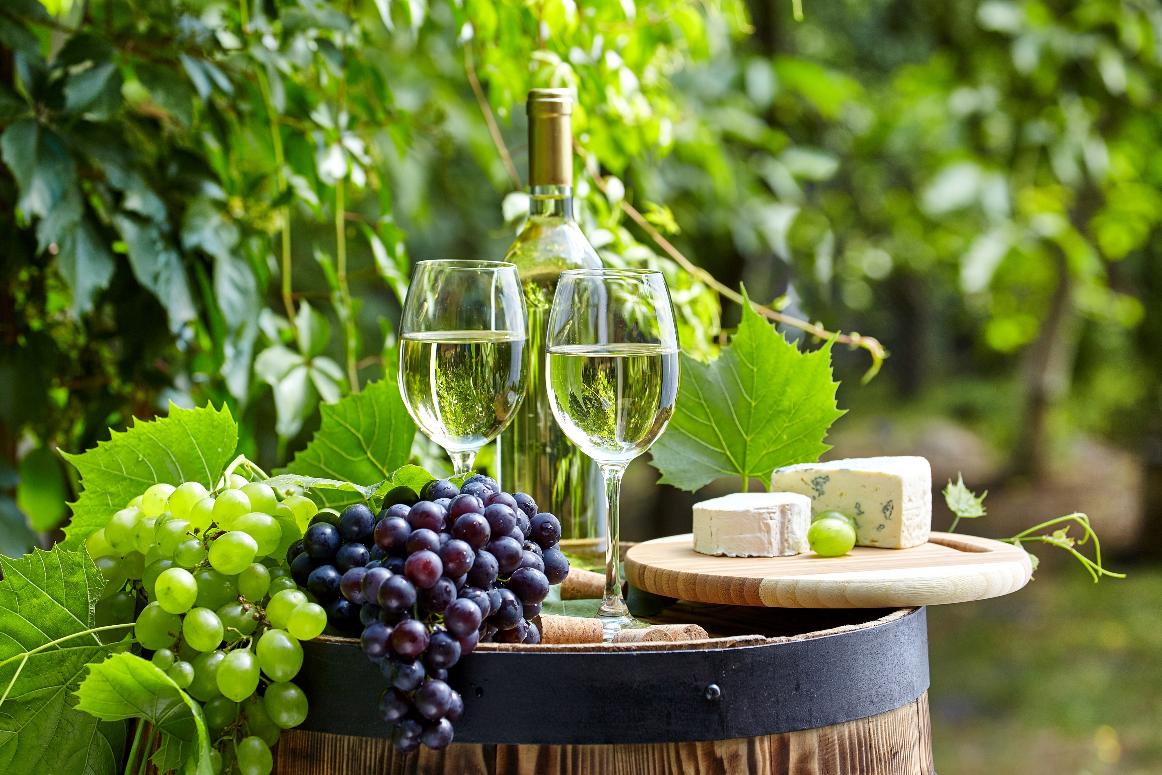 Download Fruit Grapes Cheese Wine Food Still Life 4k Ultra HD Wallpaper