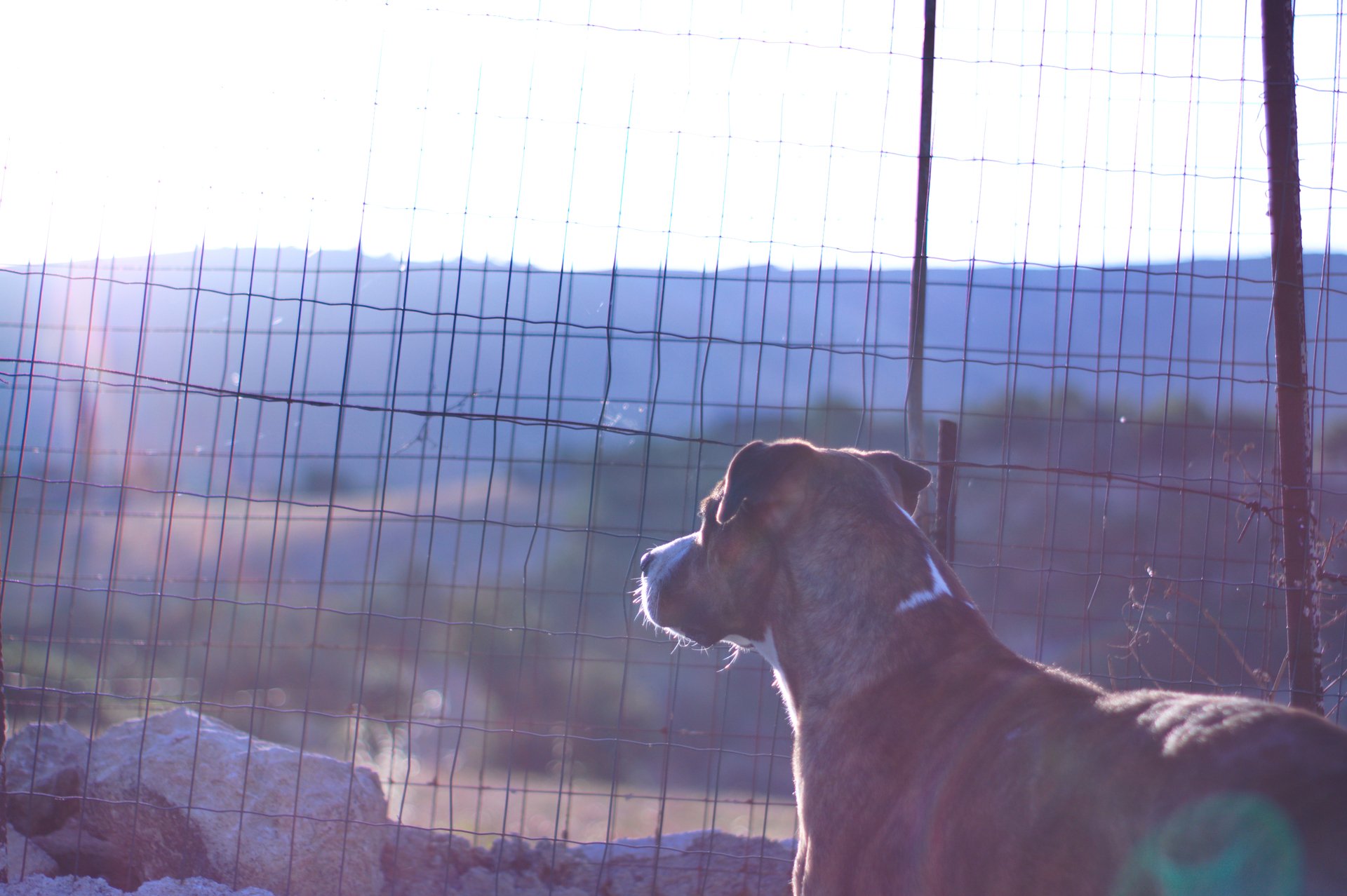 Looking to the Sunrise by Andrew