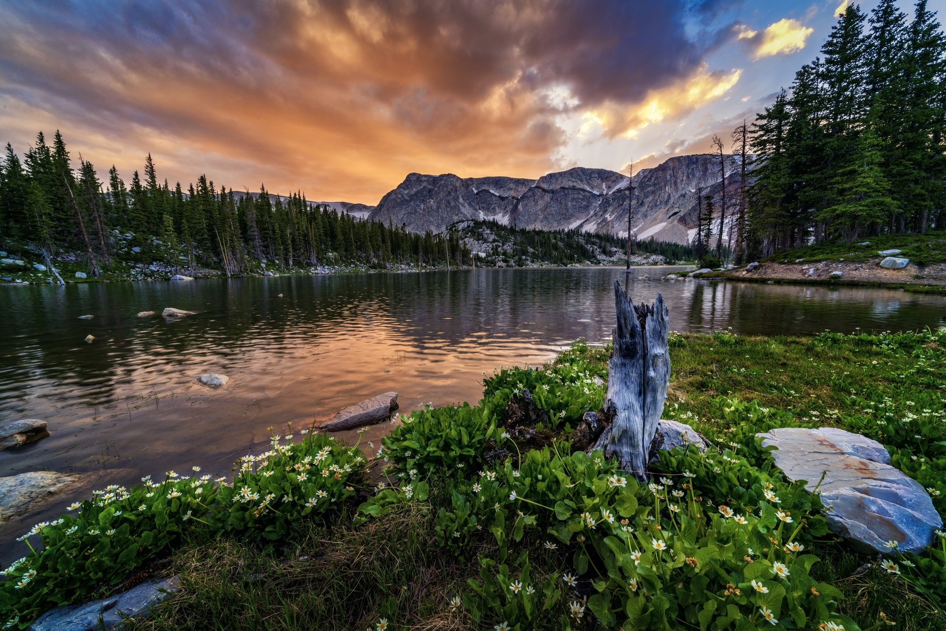 Download Nature Mountain Flower Lake 4k Ultra HD Wallpaper | 3840x2561 ...