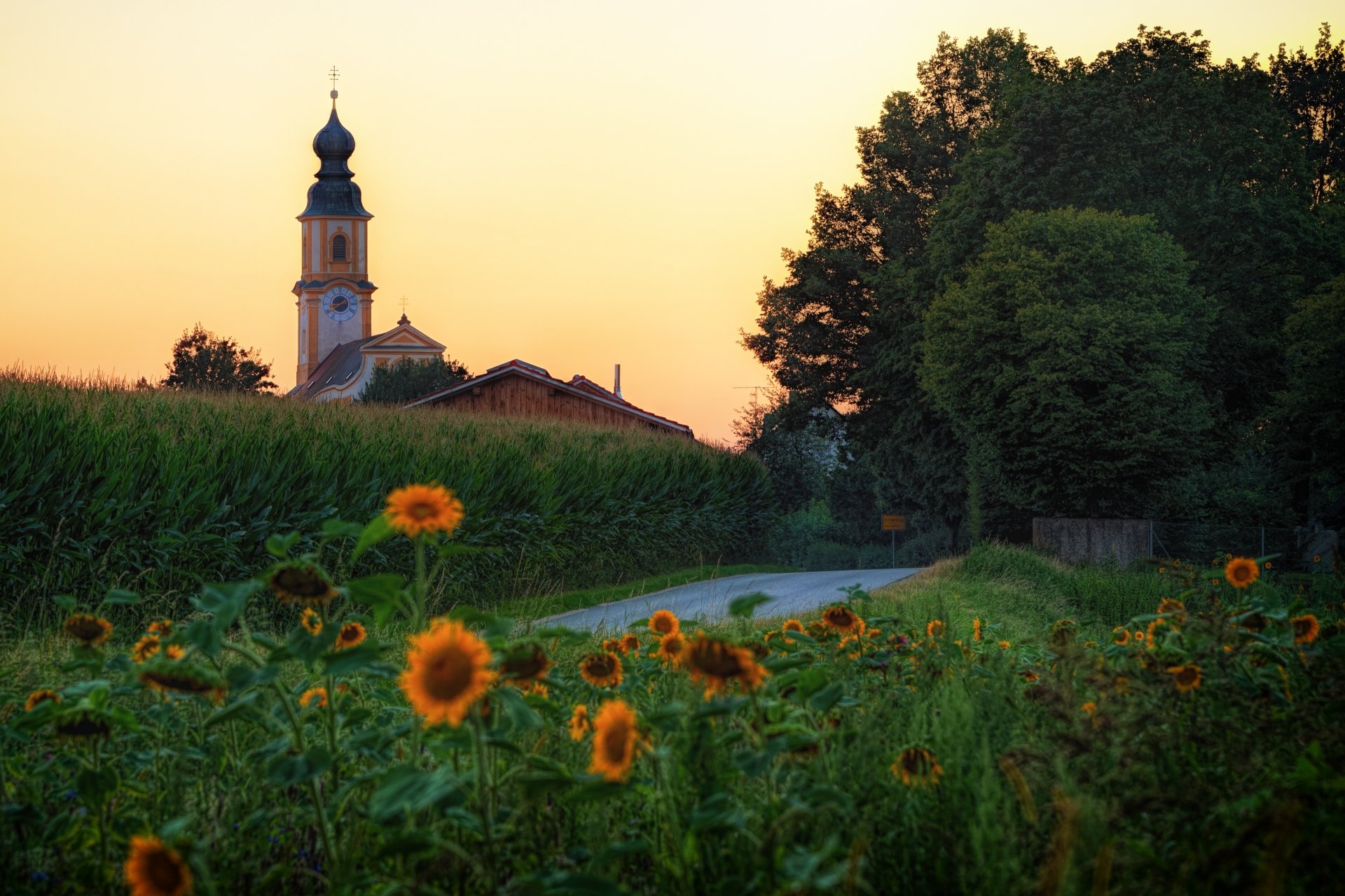 Download Germany Sunflower Road Religious Church 4k Ultra HD Wallpaper