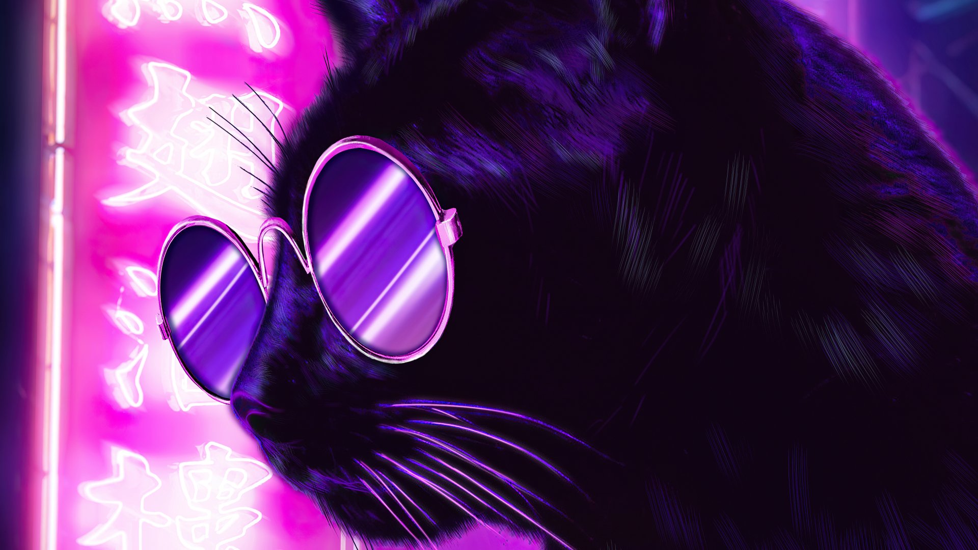 4K Ultra HD PC desktop wallpaper: neon fantasy black cat wearing reflective sunglasses against glowing purple-pink signage.