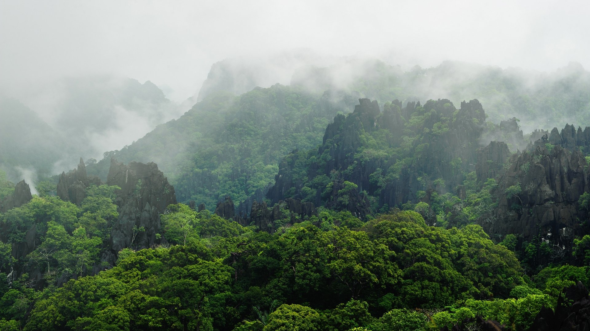 Download Laos Vegetation Mountain Forest Nature Fog 4k Ultra HD Wallpaper
