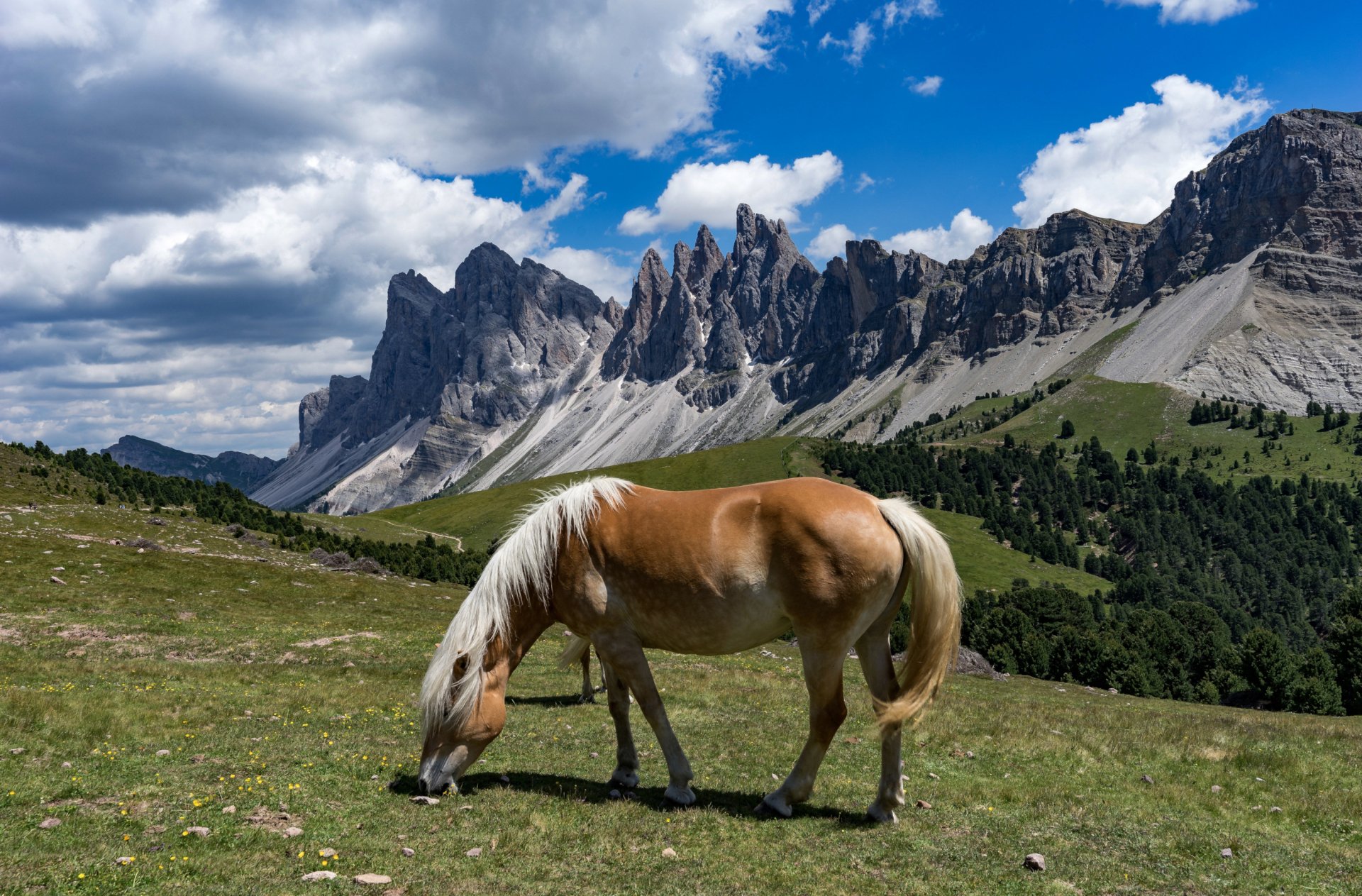 2K Quad HD PC desktop wallpaper: a horse grazing on an alpine meadow beneath cloud-streaked sky with rugged mountain peaks in the background.