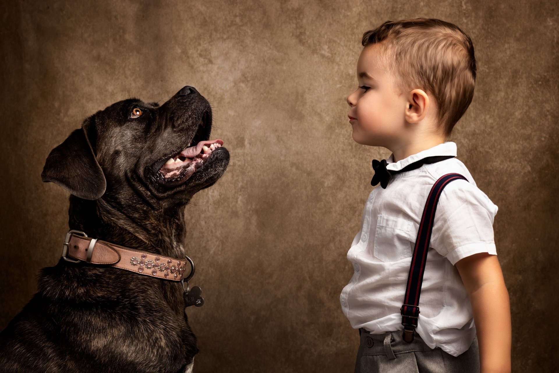 Download Profile Collar Dog Photography Child HD Wallpaper