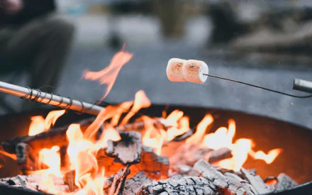 close-up marshmallow photography fire HD Desktop Wallpaper | Background Image