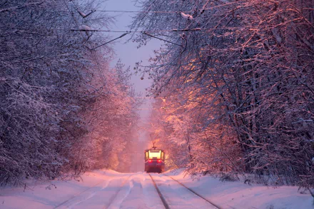A winter scene featuring a tram traveling through a snow-covered forest, bathed in soft twilight hues, captured as an HD PC desktop wallpaper background.