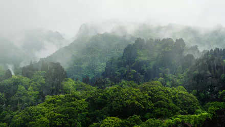 4K Ultra HD PC desktop wallpaper: mist-shrouded Laotian mountains and lush forest vegetation.