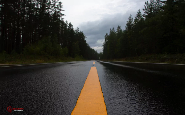 HD desktop wallpaper of a man-made road in Norway: low-angle view of wet asphalt with a bright yellow center line, flanked by pine forest under moody overcast skies.