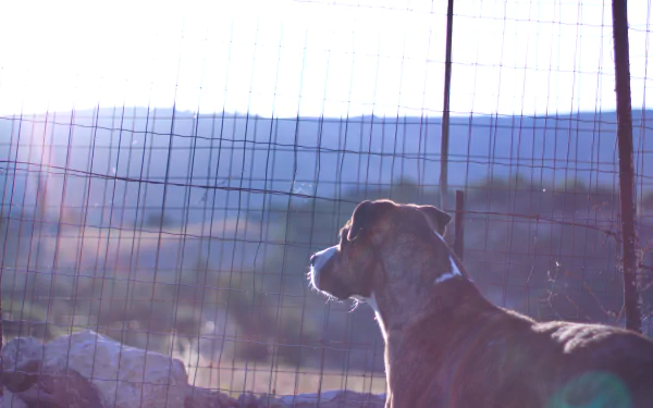  Looking to the Sunrise