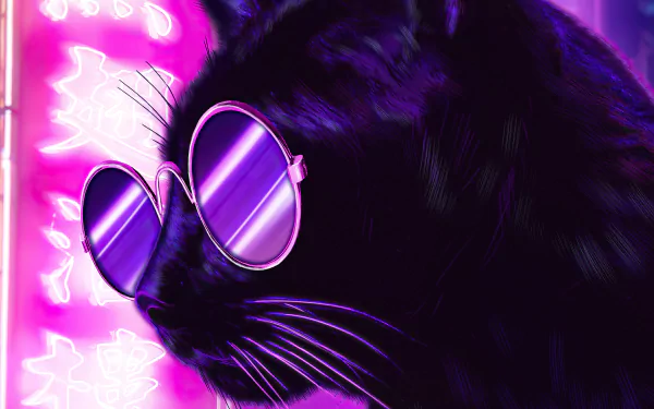 4K Ultra HD PC desktop wallpaper: neon fantasy black cat wearing reflective sunglasses against glowing purple-pink signage.