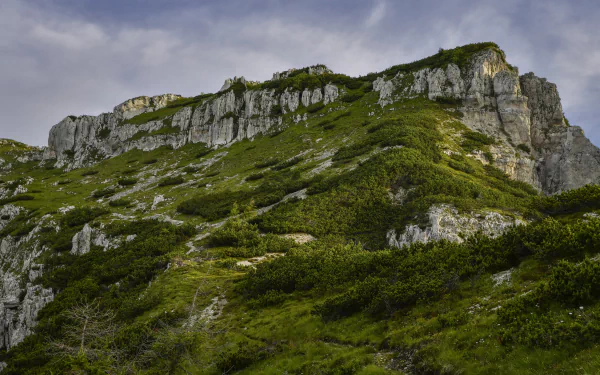 vegetation nature mountain HD Desktop Wallpaper | Background Image