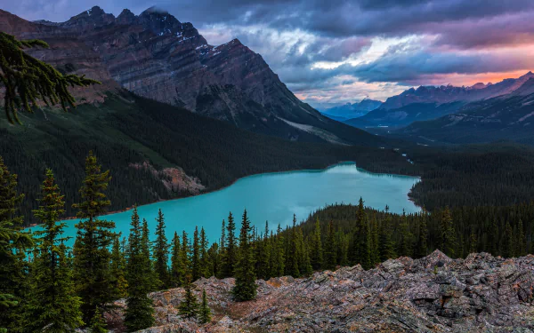 landscape nature peyto lake Canada mountain forest lake HD Desktop Wallpaper | Background Image