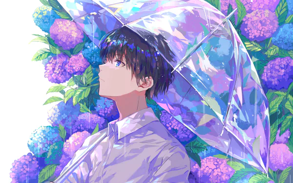 A high-definition anime desktop wallpaper featuring a boy holding a transparent umbrella in the rain, standing in front of blooming flowers.