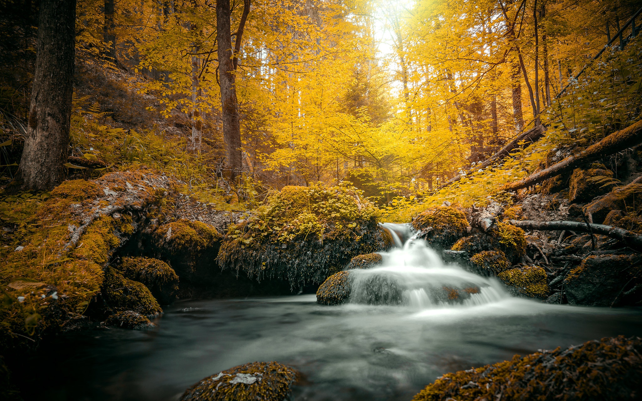 Download Fall Nature Stream HD Wallpaper