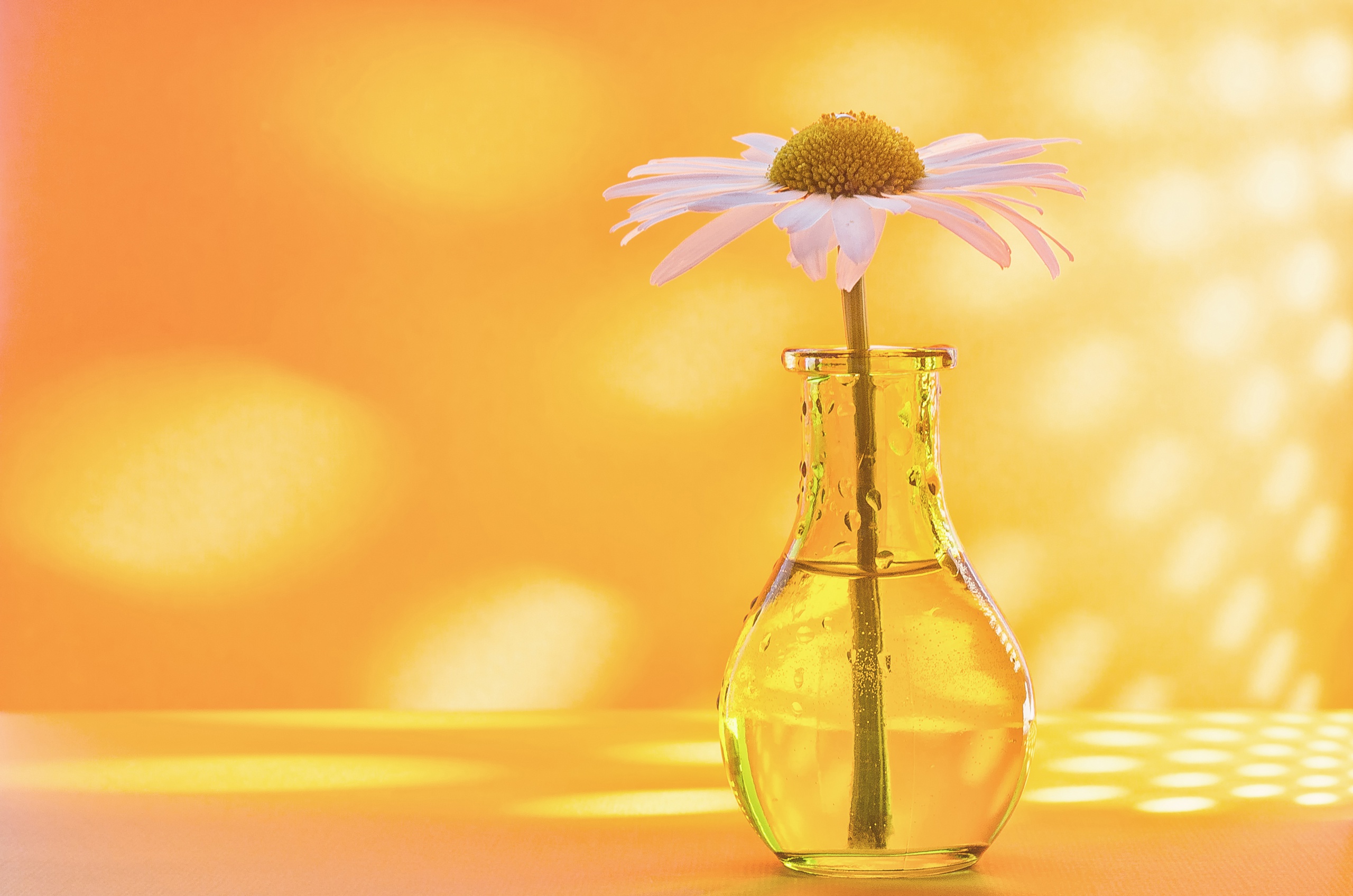 Man Made Flower HD Wallpaper | Background Image