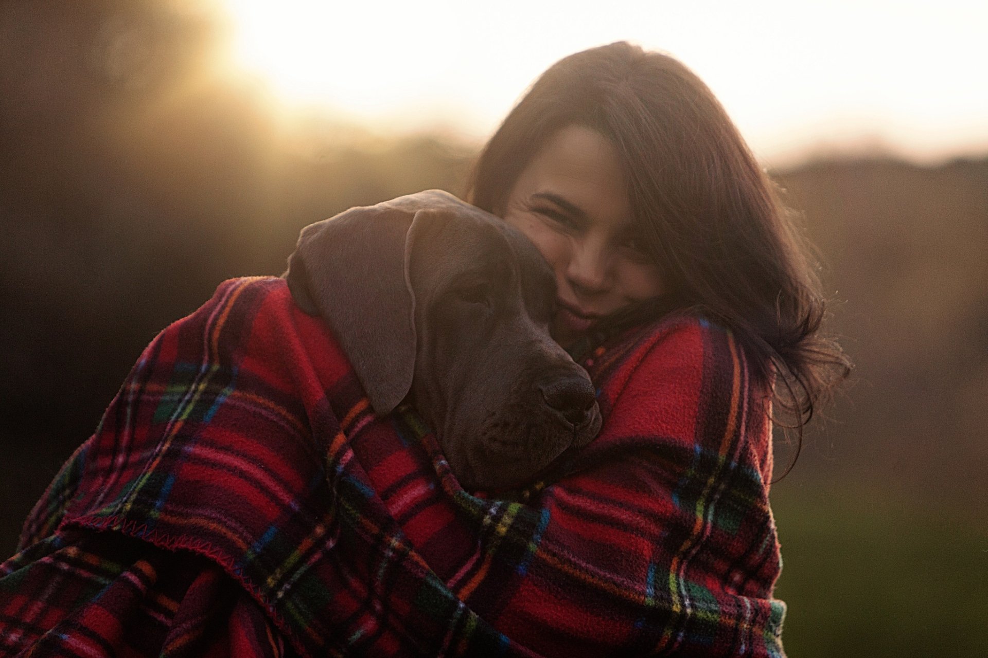 Download Black Hair Dog Great Dane Plaid Woman Mood HD Wallpaper