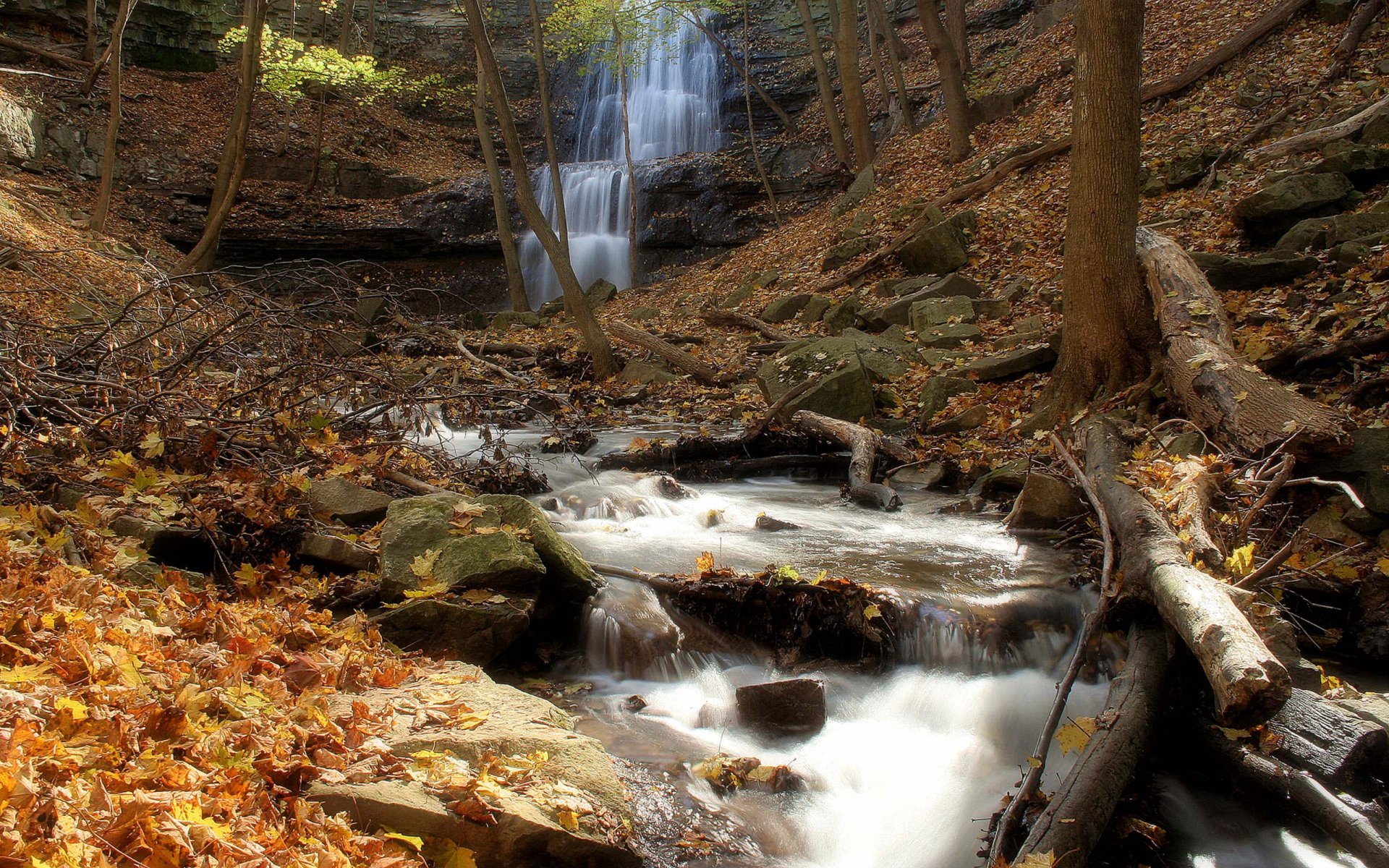 Download Nature Waterfall HD Wallpaper