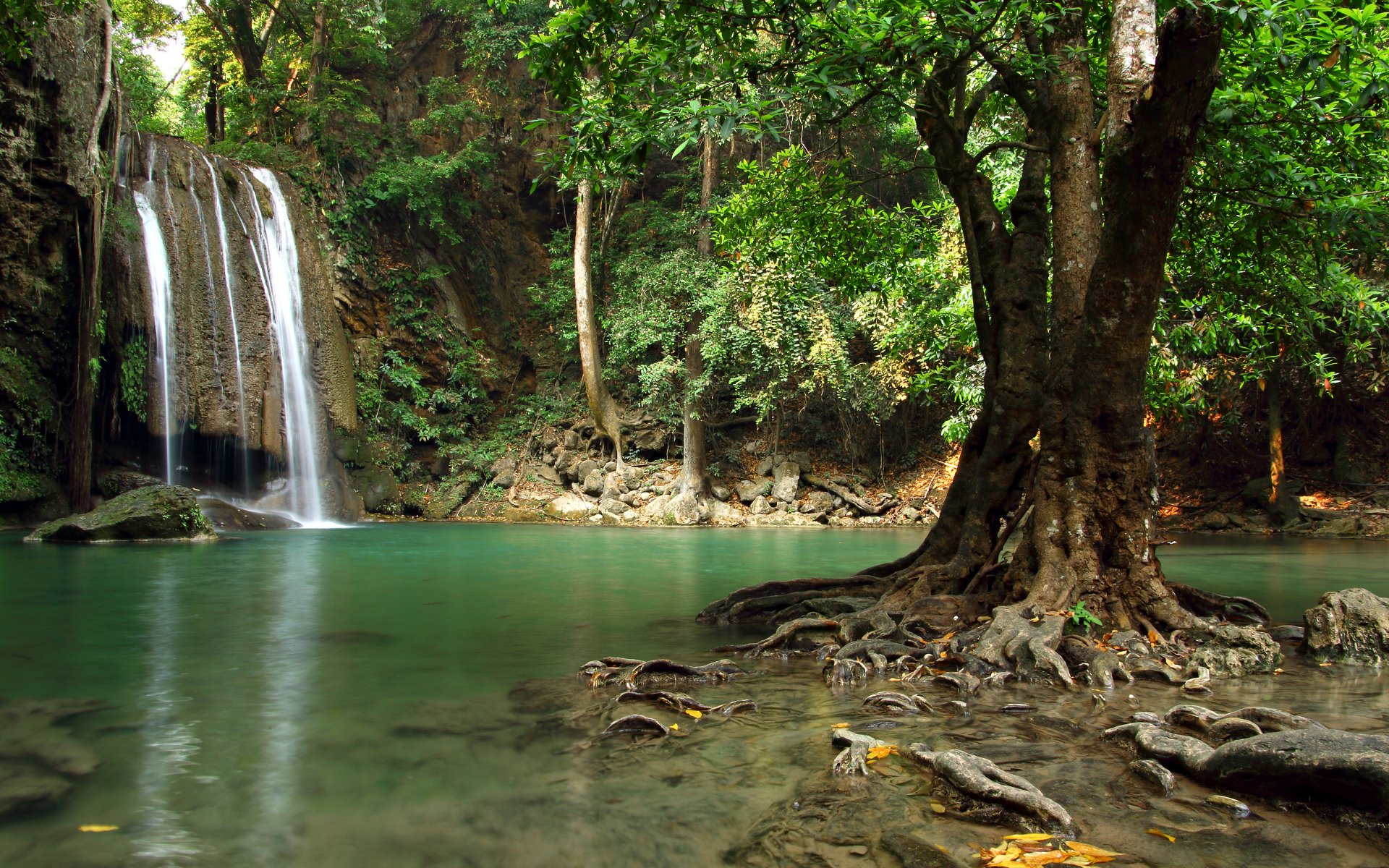 Download Tree River Nature Waterfall 4k Ultra Hd Wallpaper