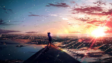 Anime-style HD wallpaper of a cat gazing at a vibrant sunset sky from a rooftop, creating a serene and picturesque scene.