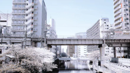 man made Tokyo HD Desktop Wallpaper | Background Image