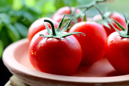 food tomato HD Desktop Wallpaper | Background Image