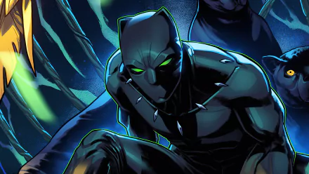 Black Panther (Marvel Comics) Comic HD Desktop Wallpaper | Background Image